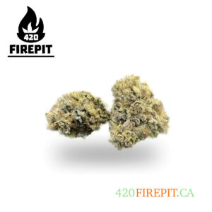 CACTUS BREATH