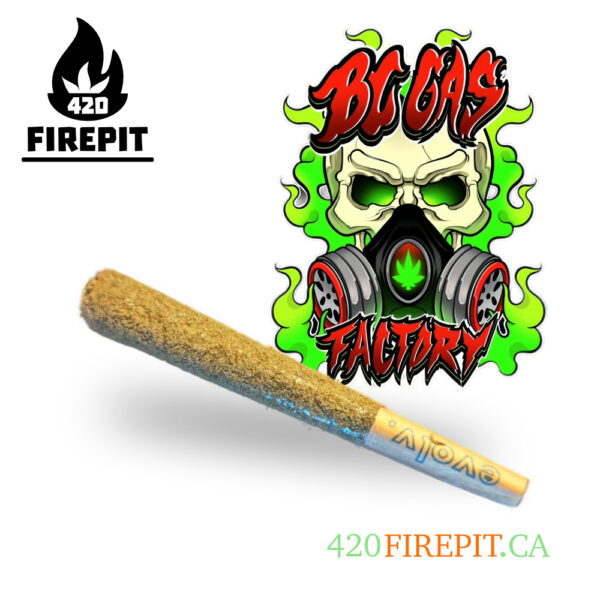 GAS ROCKETS 1g INFUSED PREROLLS