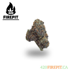 GELATO-45
